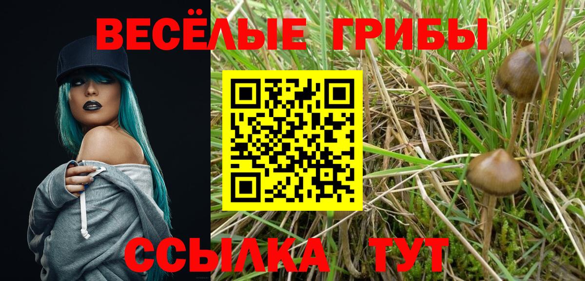 Псилоцибиновые грибы мухоморы Петрозаводск